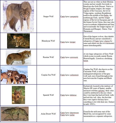 Species And Subspecies