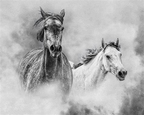 And The Winner Is Photograph By Ron Mcginnis Fine Art America