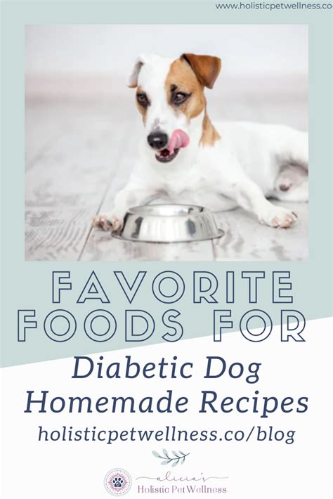 The diabetes epidemic doesn't stop at the doghouse. My Favorite Foods for Diabetic Dog Food Homemade Recipes | Alicia's Holistic Pet Wellness