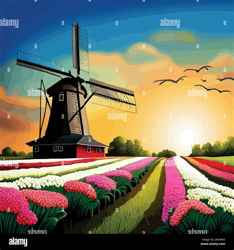 Vector Illustration Landscape With Dutch Tulips And Windmills For Design Posters And Greetings