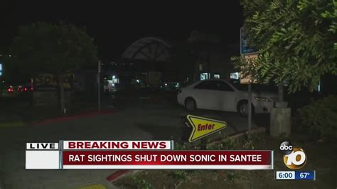Rat Sightings Shut Down Sonic In Santee Youtube