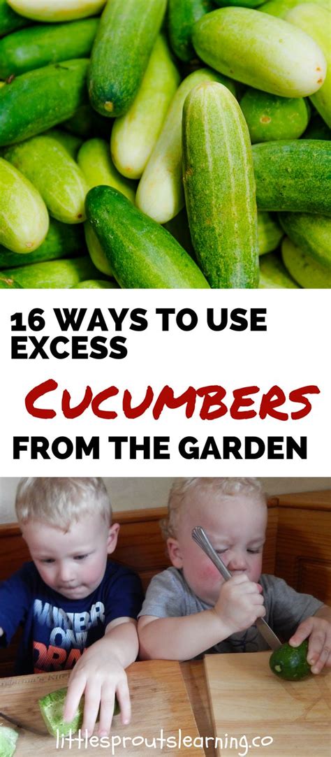 16 ways to use excess cucumbers from the garden recipe cucumbers cucumber gardening
