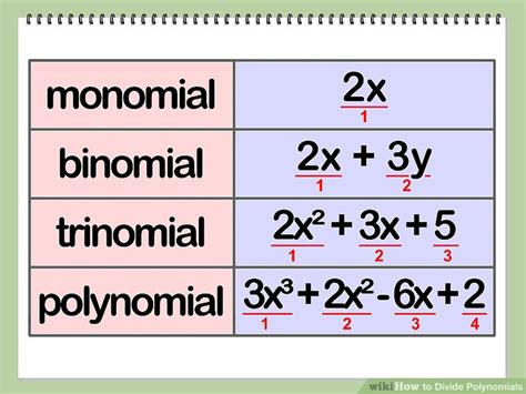 Polynomials And Like Terms Project Kailey’s Creations