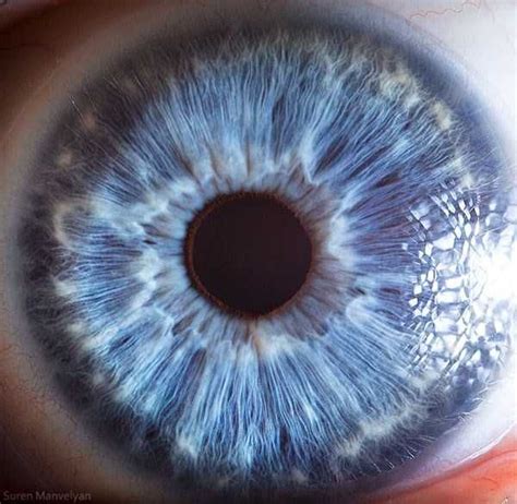 Human Eye Under A Microscope 21 Photos Eye Close Up Human Eye