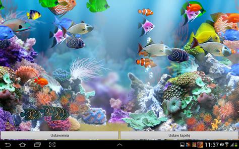 Desktop Backgrounds Aquarium Live Desktop Pictures