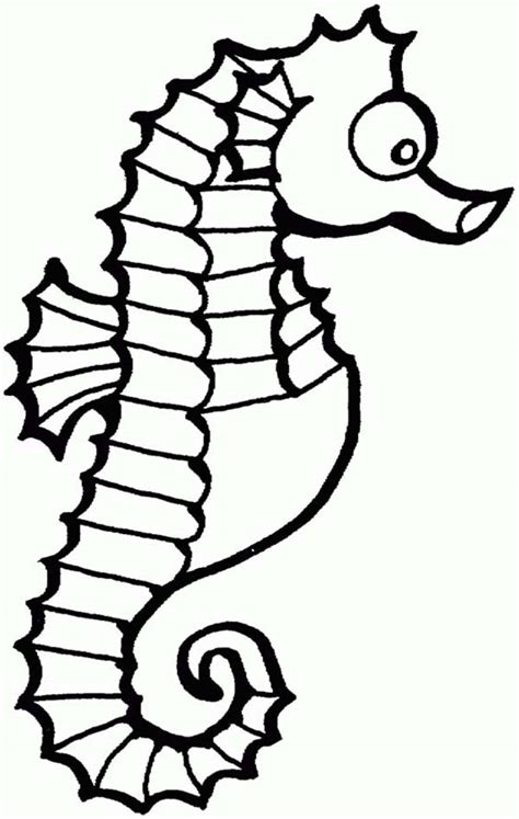 Seahorse lays her eggs, she does it on mr. Free Sea Horse Outline, Download Free Clip Art, Free Clip ...