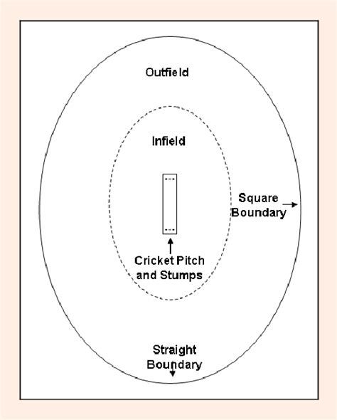 A Standard Cricket Field Download Scientific Diagram