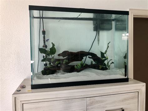 A Simple Guide For Setting Up Of A 37 Gallon Aquarium Fishxperts