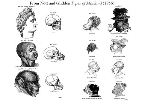 Until Darwin Science And The Origins Of Race Talk The Life Sciences The Origins Of Race And