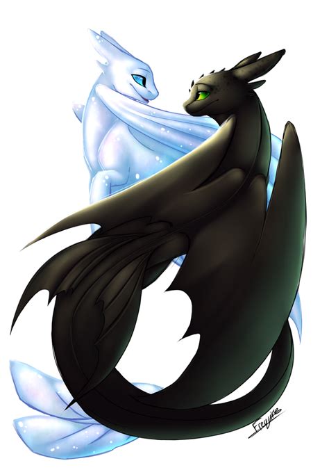 HTTYD Toothless And Light Fury By Https Deviantart Night