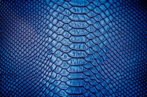 Snake Texture Images | Free Vectors, Stock Photos & PSD