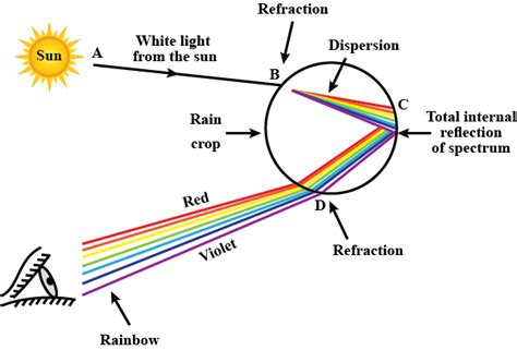 What Is Meant By Dispersion Of White Light Describe The Formation Of