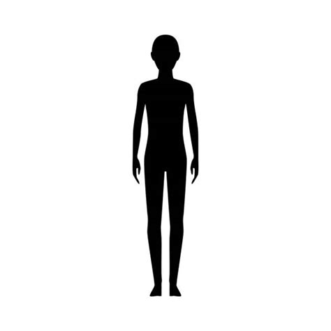 11700 Pics Of A Human Body Outline Template Illustrations Royalty