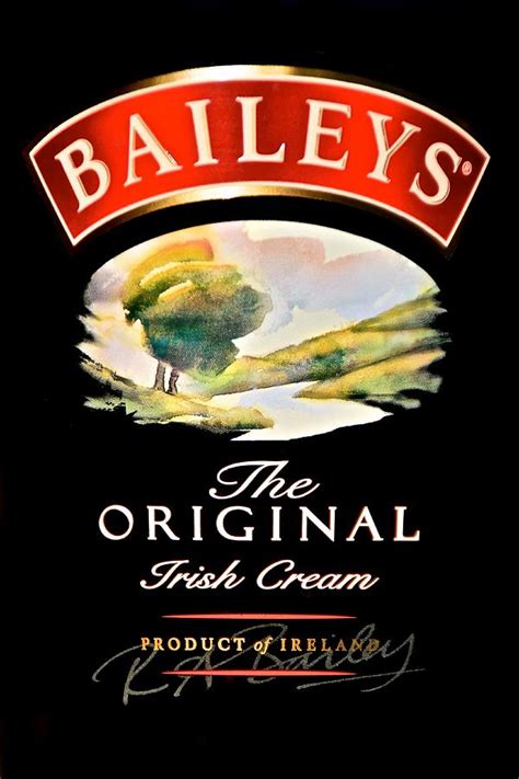 31 Baileys Irish Cream Label Labels Database 2020