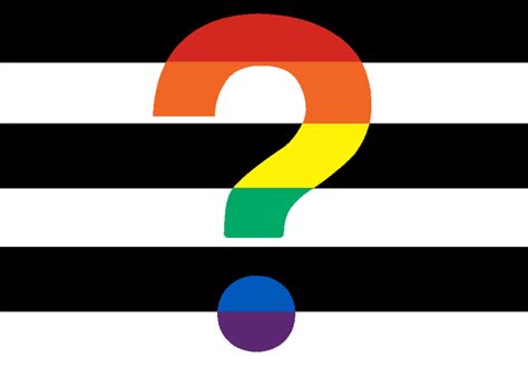 I Designed A Questioning Flag For My Best Friend I Made It To