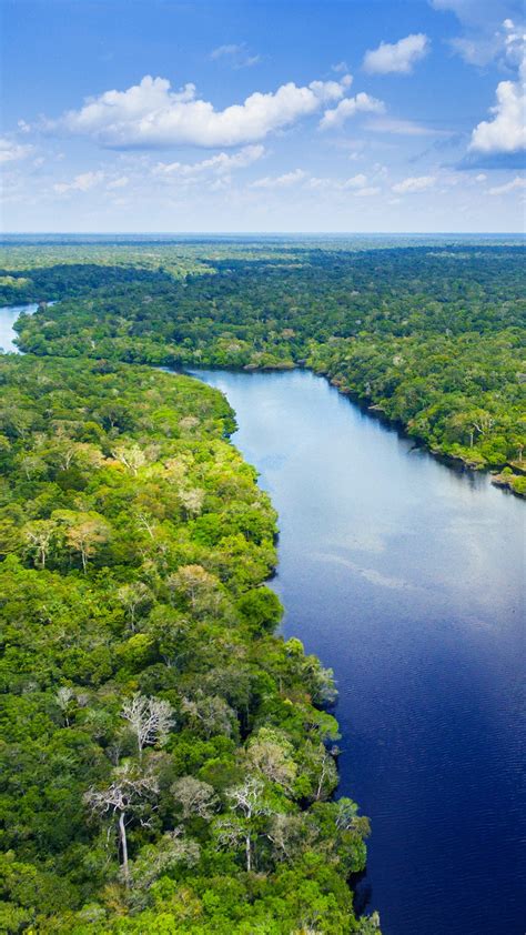 Amazon River In Brazil Windows 10 Spotlight Images