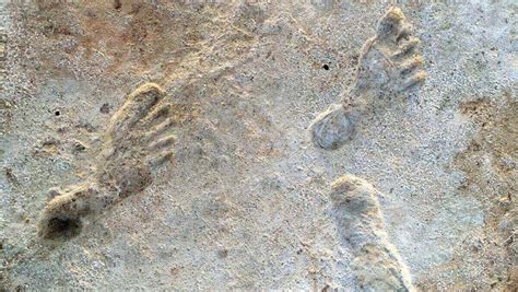 Incredible Ancient Footprints Are Oldest Trace Of People In North America