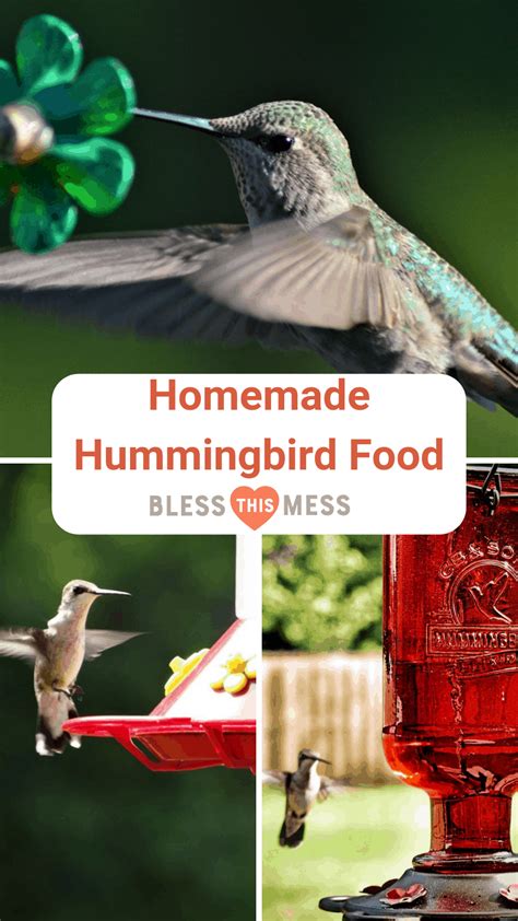 Make Hummingbird Food Recipe