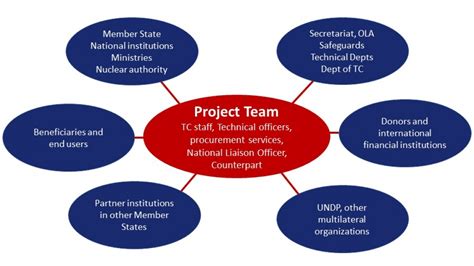 Project Roles And Responsibilities Iaea
