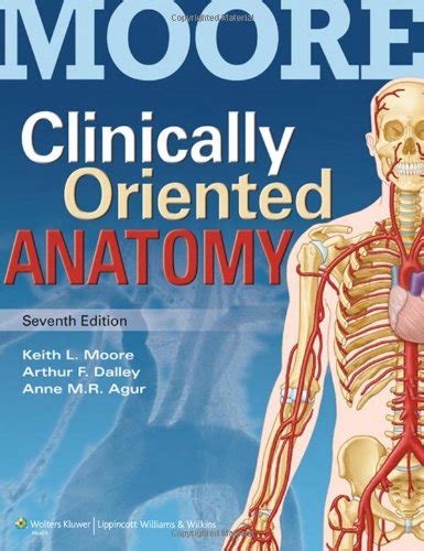 Best Clinical Anatomy Textbook For Nbme Style Exams Student Doctor