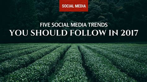5 social media trends you should follow in 2017 unik seo