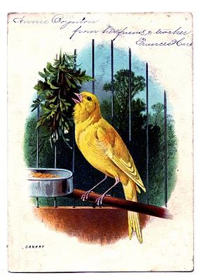 vintage clip art sweet canary  cage  graphics fairy