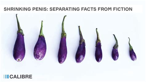Shrinking Penis Facts Vs Fiction And What You Can Do To Help