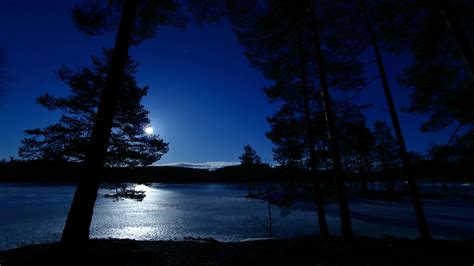 Download Wallpaper 2560x1440 Trees Night Lake Distance Sky Norway Widescreen 169 Hd Background