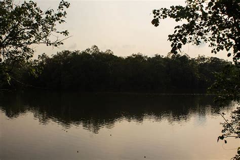 Sungei Buloh Wetland Reserve 1080p 2k 4k 5k Hd Wallpapers Free