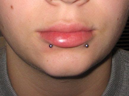 You might experience some amount of pain as two piercings are done at once. I want these!!! | Snake bite piercing, Piercings, Snake bites