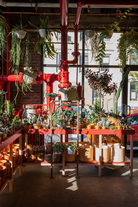 Tula Opens A Plant Oasis Dedicated To Cacti And Succulents In New York