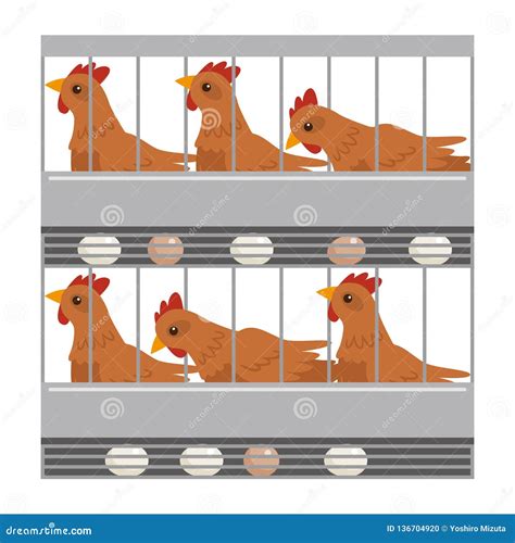 Eggs Chickens Hens In Cages Industrial Farm Stock Vector
