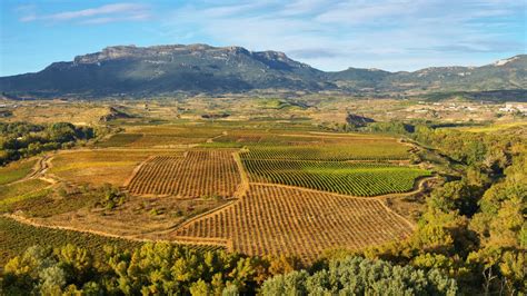 Rioja Wine Region Wine Regions Of Spain Wine Searcher
