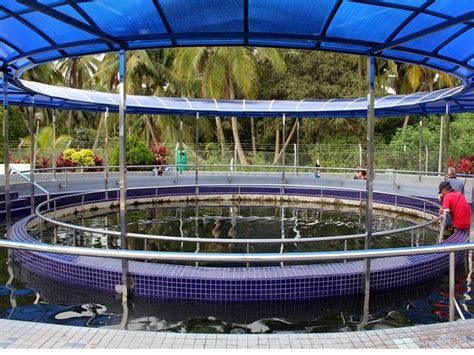See more of pusat rekreasi kolam air panas sg. Jalan-jalan Cari Makan di Muar - Findbulous Travel