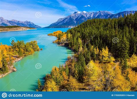 Abraham Lake With Turquoise Water Stock Image Image Of Rockies