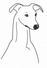 Clipart Greyhound Whippet Lurcher Dog Galgo Outline Head Coloring Clip Thewhippet Silhouette Cliparts Line Clipground Library Crafts Kitty sketch template