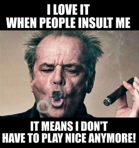 i love it when people insult me it means i don t have to play nice anymore true funny