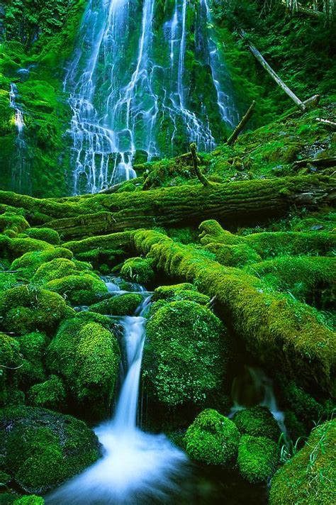 Green And Blue Proxy Falls In Oregon All Its Green And Mossy Splendor