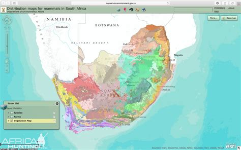 Rainy seasons in this area africa's vegetation—like its climate—is almost mirrored north and south of the equator. Distribution Maps For Mammals In South Africa | AfricaHunting.com