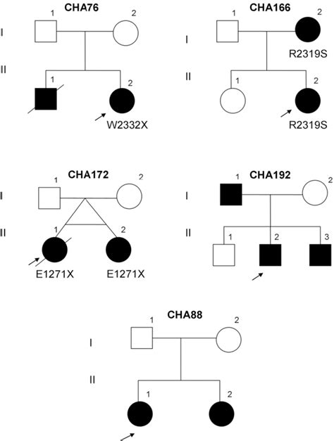 Figure 1 From Spectrum Of Chd7 Mutations In 110 Individuals With Charge