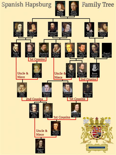 In many ways, charles was the culmination of hundreds of years of inbreeding in a royal blood empire — thought to. Spanish Hapsburg Family Tree | Historia europea, Historia de españa, Historia moderna