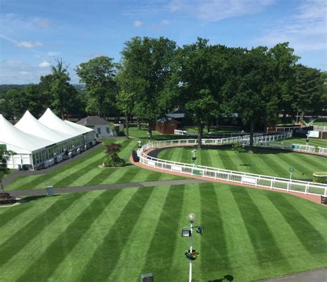 The Perfect Conference Venue Hamilton Park Racecourse