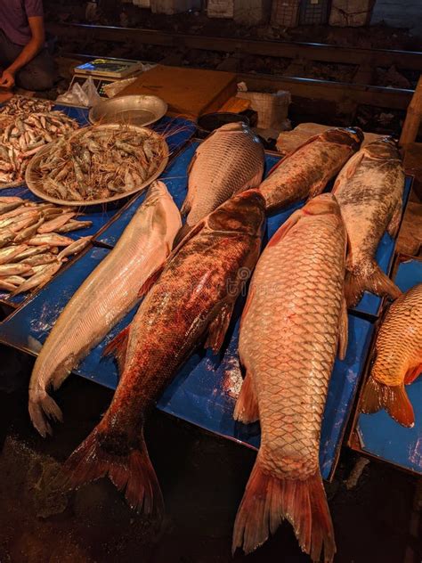 Many Carp Assam Prawns And Rohu Fish On Super Market Stock Image