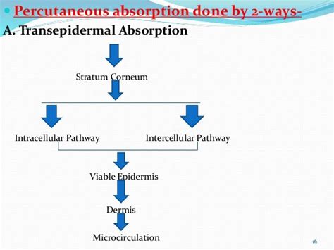 Transdermal drug delivery system
