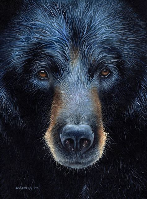 Black Bear Black Bears Art Bear Paintings Bear Artwork
