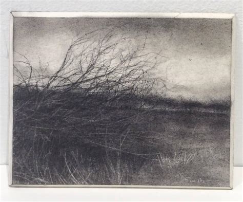 Sue Bryan Bog Bank March Modern Realistic Black And White Charcoal