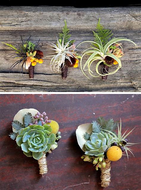 No need to worry about soil or a pot. Obsessed with Flora Grubb's use of tillandsias in ...