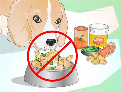 Certified organic fruits and vegetables provide essential vitamins, minerals, and fiber. How to Add Fiber to a Dog's Diet: 11 Steps (with Pictures)