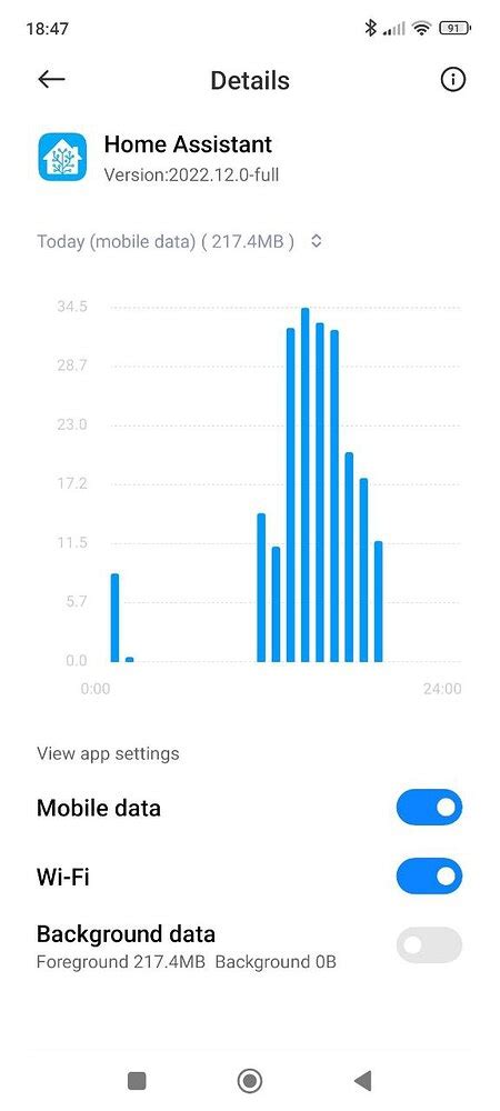 Excessive Data Usage Home Assistant Companion For Android Home