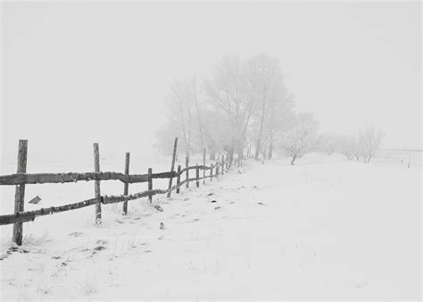320x480 Resolution Fences And Trees With Snow Snow Hd Wallpaper